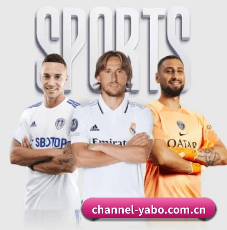 yabo体育 APP 界面